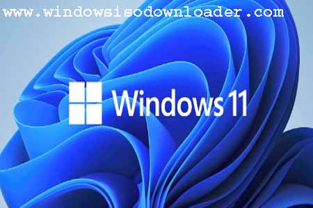 Windows 11 ISO Download